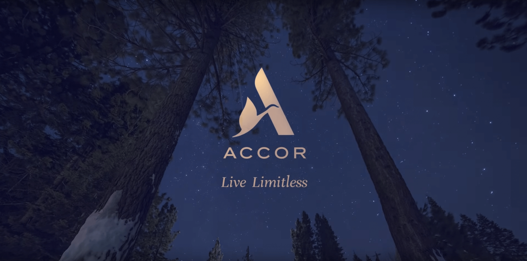 Panduan Lengkap Accor Live Limitless